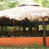 Kanha Jungle Lodge