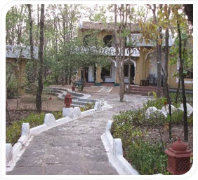 Krishna Jungle Lodge