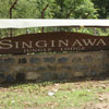 singinawa-jungle-lodge