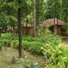 wild chalet resort kanha