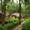 wild chalet resort kanha